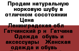 Продам натуральную норковую шубу в отличном сосотоянии › Цена ­ 40 000 - Ленинградская обл., Гатчинский р-н, Гатчина  Одежда, обувь и аксессуары » Женская одежда и обувь   . Ленинградская обл.